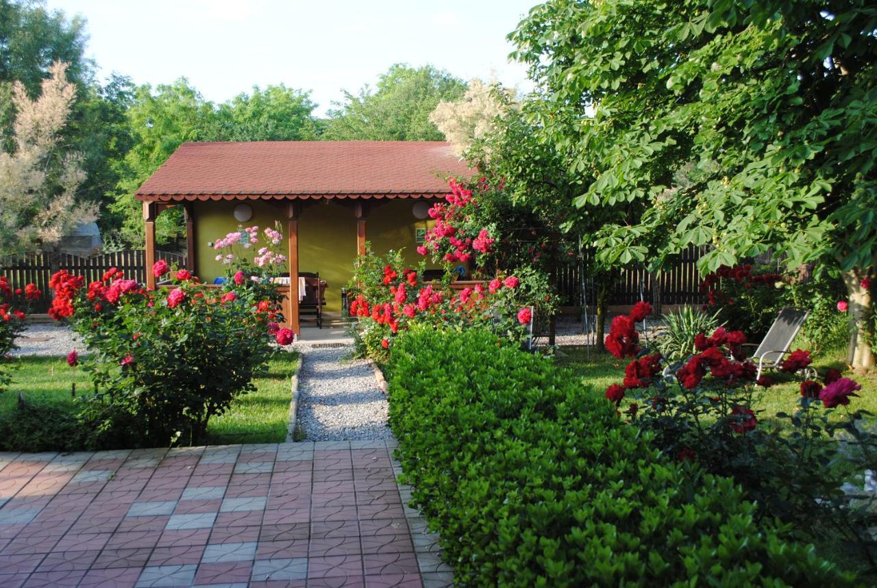 Vila Delta Travel - Mila 23 Mila Douazeci si Trei Exterior photo